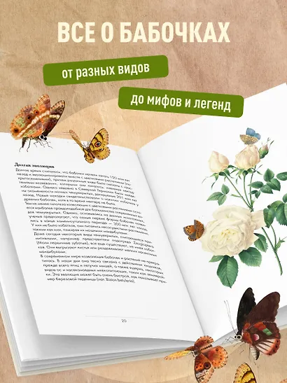 Бабочки! Маленькая энциклопедия. Обаятельная книжка о красивом существе - фото 5