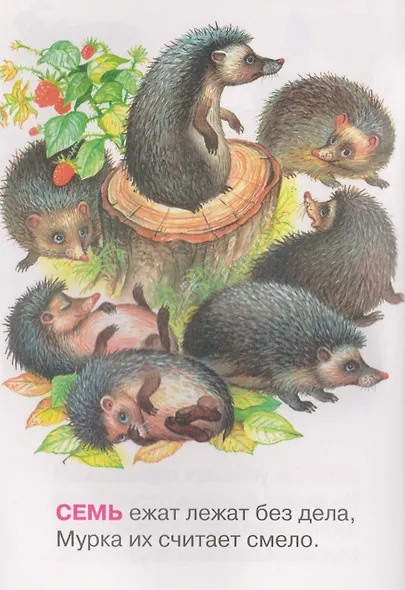 Всёлый счет - фото 4