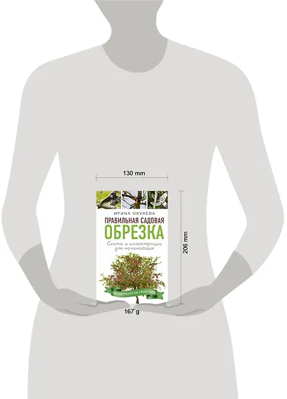 Правильная садовая обрезка. Схемы и иллюстрации для начинающих - фото 3