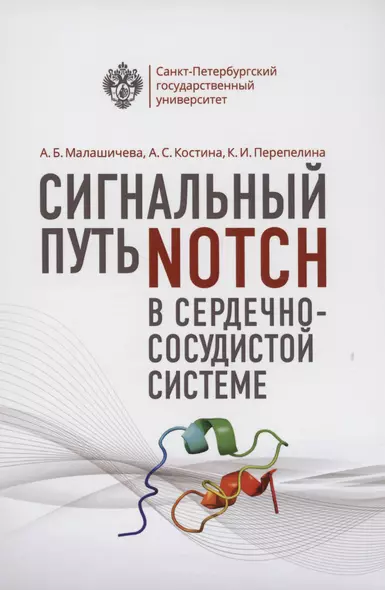 Сигнальный путь Notch в сердечно-сосудистой системе - фото 1