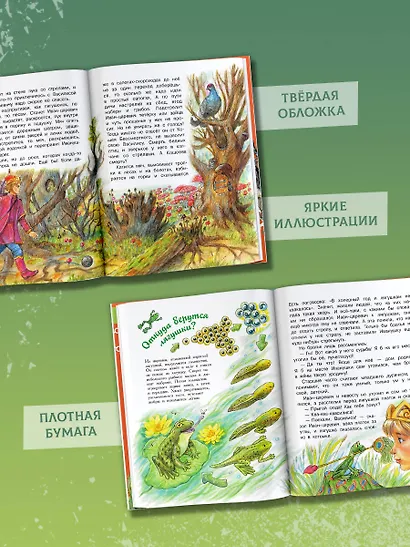 Царевна-лягушка - фото 7