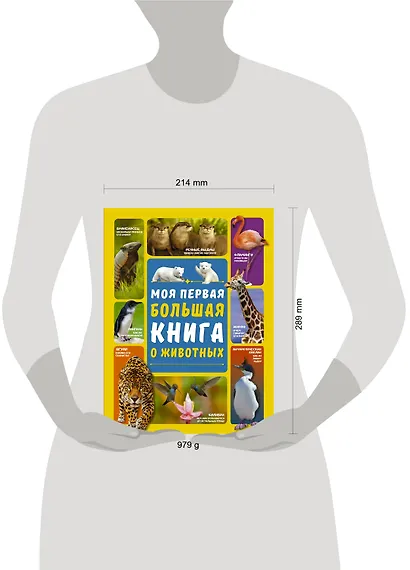 Моя первая большая книга о животных - фото 3