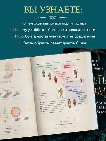 Секреты Средиземья. Как появилась культовая вселенная Властелина колец - фото 5