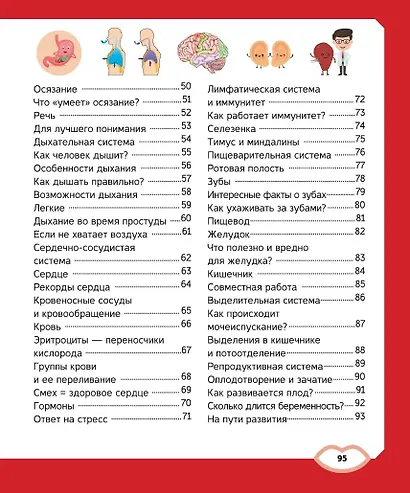 Тело человека - фото 7