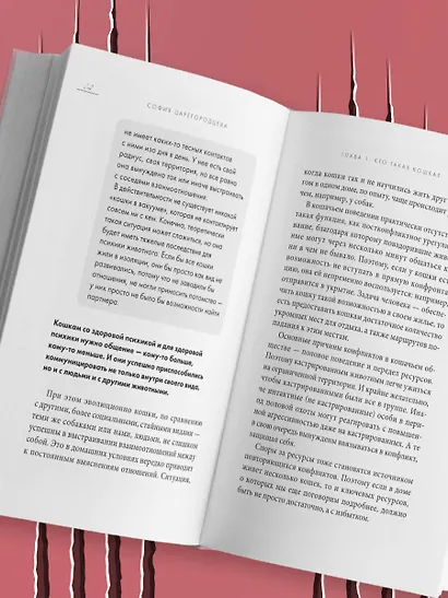 Кошачий закон и порядок. Как найти общий язык с кошкой и не стать жертвой ее капризов - фото 11