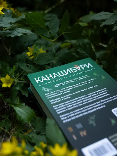 Канашибари. Пока не погаснет последний фонарь. Том 3 - фото 8