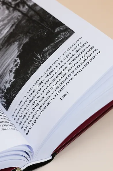 Авантюристы. Морские бродяги. Золотая Кастилия - фото 14