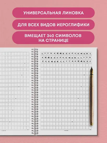 Тетрадь для иероглифов на пружине (Игривый котик) - фото 5