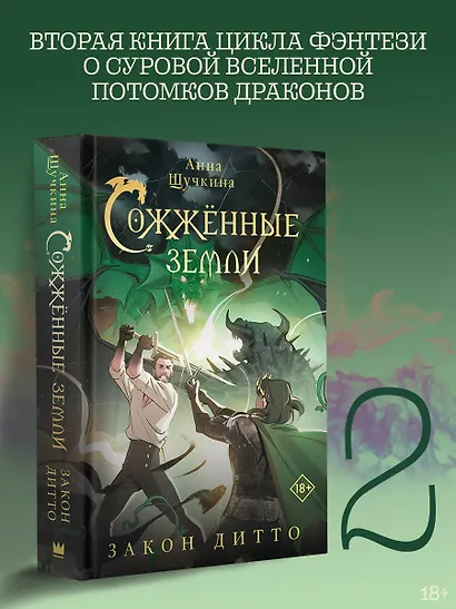 Сожженные земли. Закон дитто - фото 4