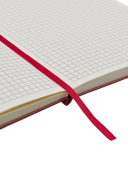 Книга для записей А5, 100 листов в клетку, красная, Schiller - фото 14