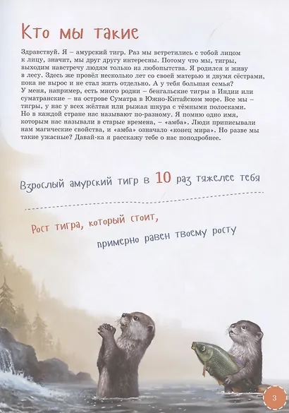 Я Тигр - фото 2