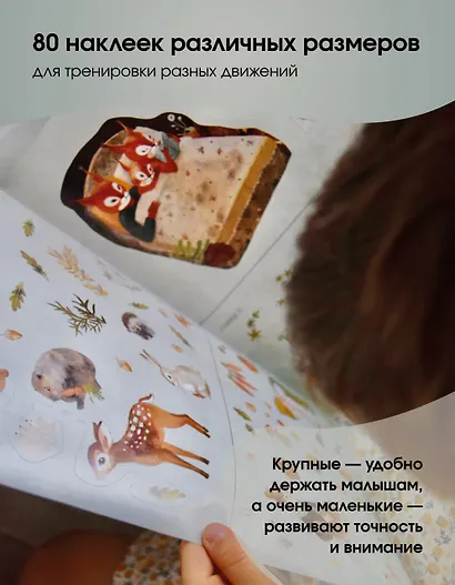 Развивающие наклейки "Малыш-бельчонок". 80 наклеек + раскраска - фото 3
