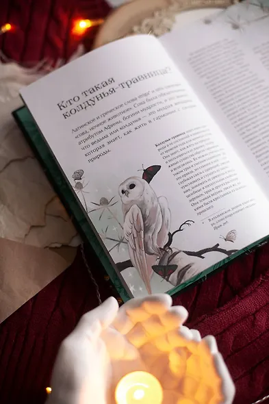 4 сезона волшебства. Тайные послания и рецепты, нашептанные лесом - фото 8