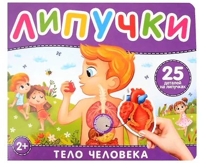 Тело человека. Книга с липучками - фото 1