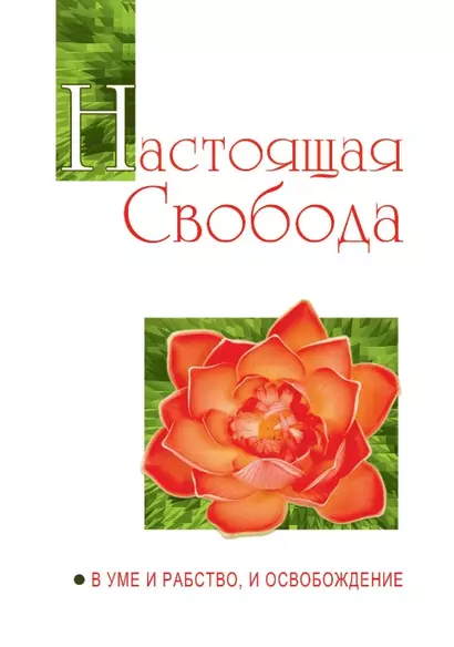 Настоящая свобода. В уме и рабство, и освобождение - фото 1