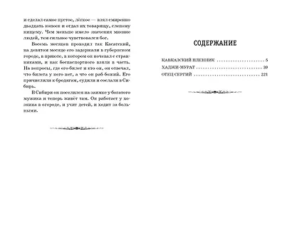 Кавказский пленник. Повести - фото 12