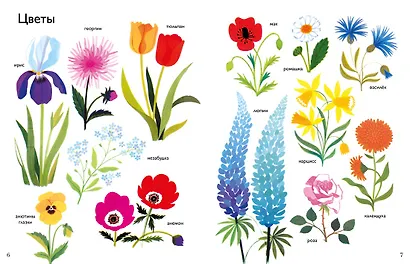 Моя первая энциклопедия в картинках - фото 3