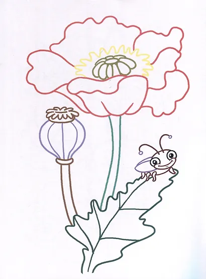 Мой первый урожай. Раскраски с цветным контуром - фото 4