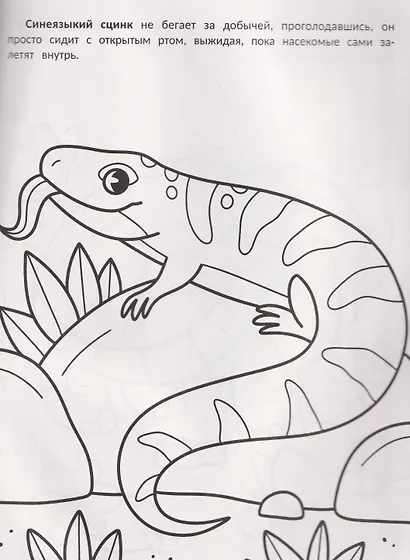 Самые ленивые: книжка-раскраска - фото 3