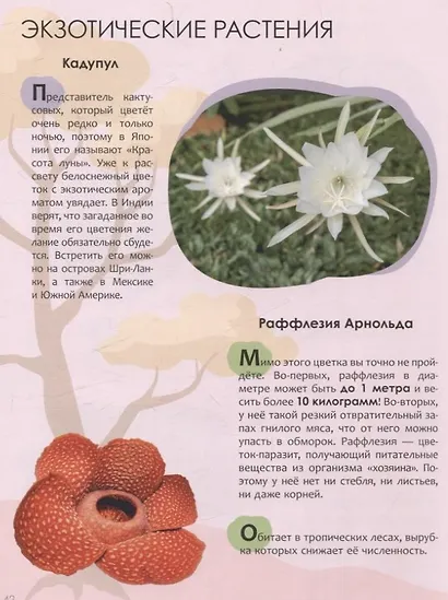 Детская энциклопедия. Красная книга - фото 8