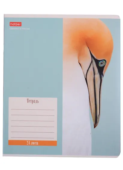 Тетрадь в клетку Hatber, Nature, 24 листа, в ассортименте - фото 4