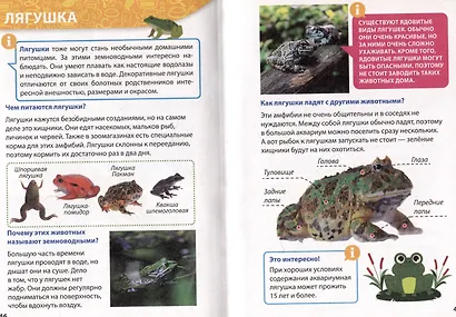 ЭНЦИКЛОПЕДИЯ ДЛЯ МАЛЕНЬКИХ ПОЧЕМУЧЕК. Домашние питомцы - фото 6
