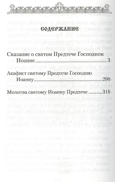 Святой Великий Пророк Предтеча и Креститель Господень Иоанн. - фото 2