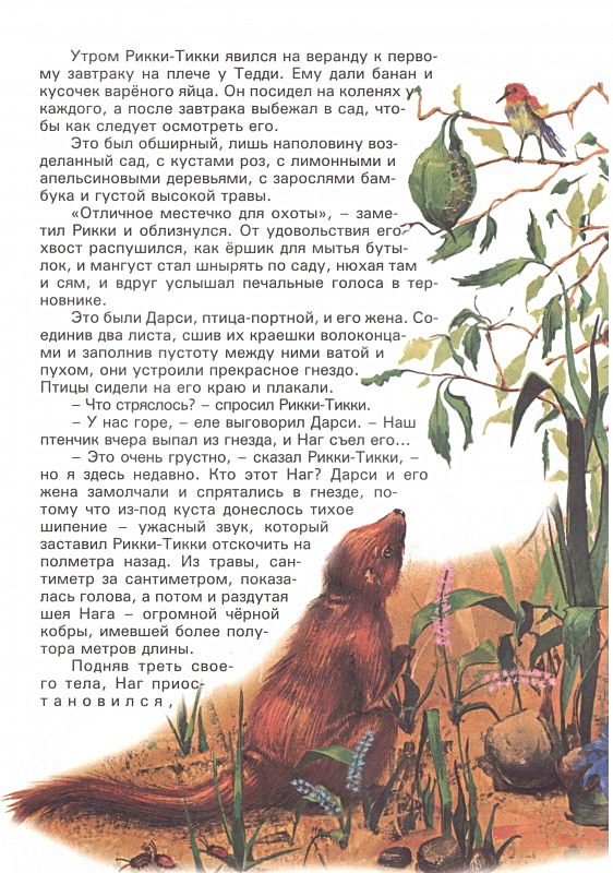 рикки тикки отзывы. рикки тикки отзывы. рикки тикки отзывы. Rikki-tikki-tavi редьярд киплинг. киплинг р.