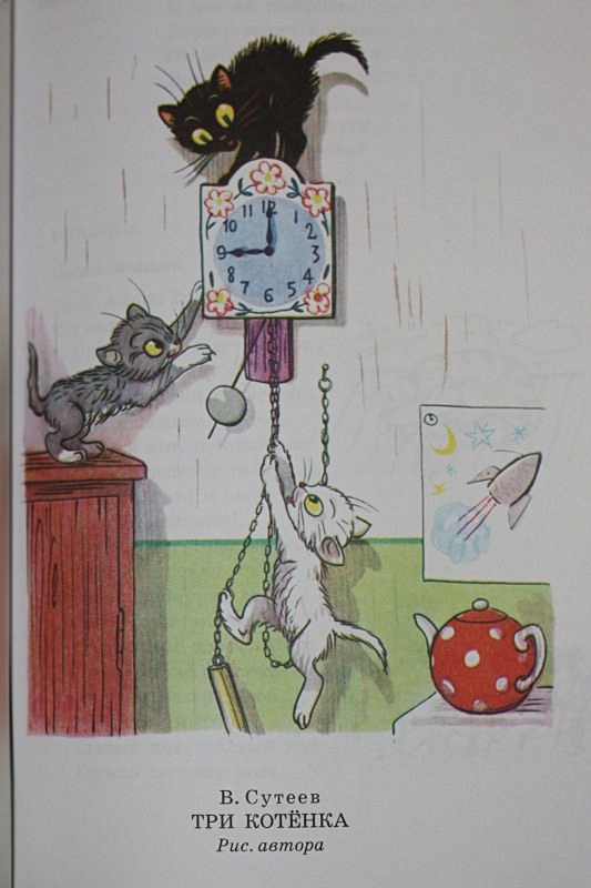 онигири в виде котиков. рисовый кот. рисовый котенок. рисовый кот. онигири панда.