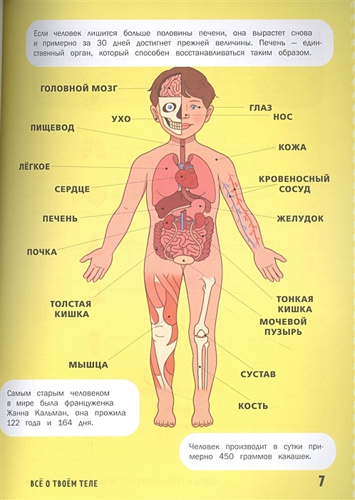 Читаем тело