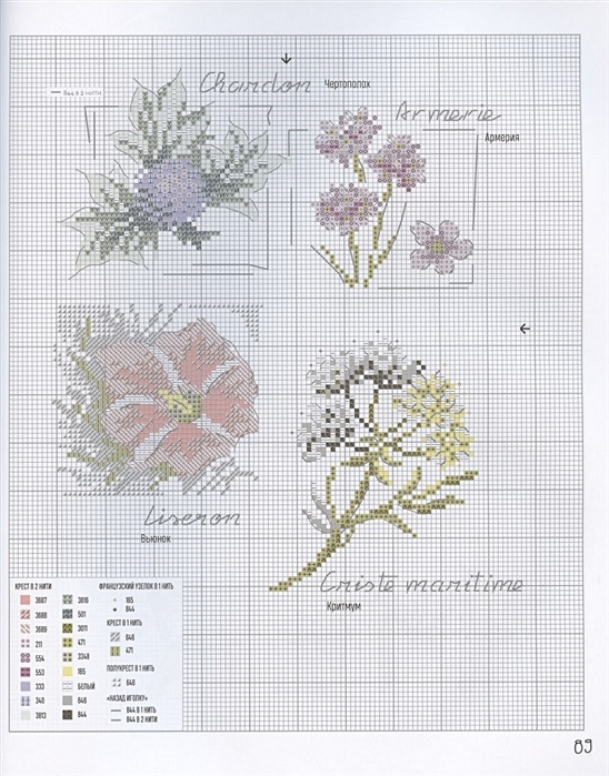 Вероник ажинер ботаника схемы вышивки