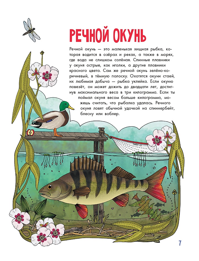 Рыбка книга