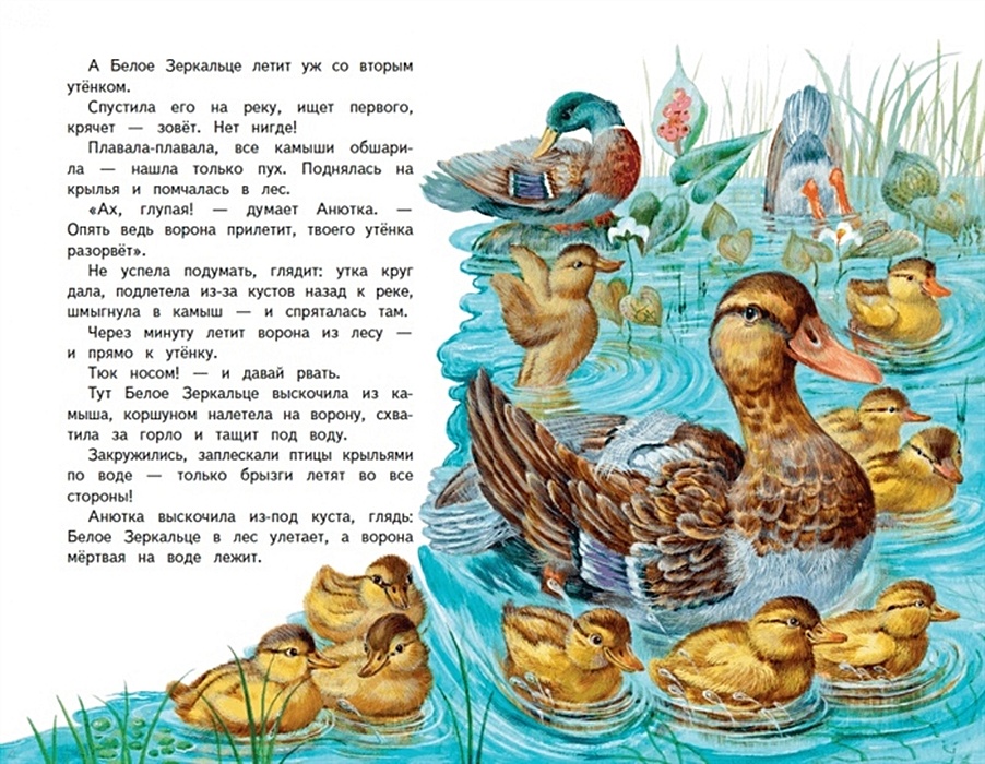 Рассказы и сказки о животных. Рассказ уточка. Житков б. Рассказ ребята и утята пришвин. М.