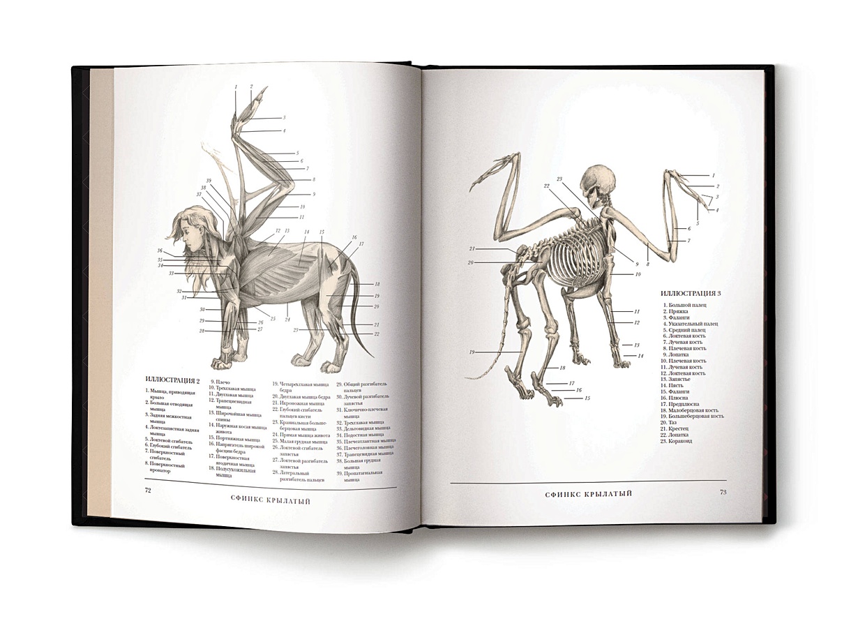 Анатомия фантастических существ книга