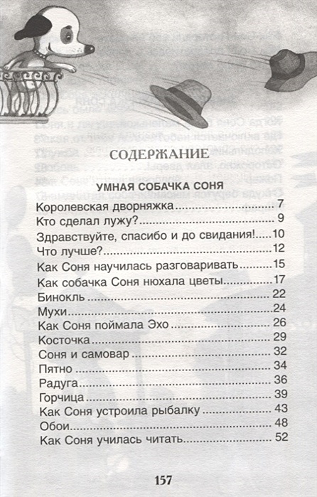 Знаменитая Собачка Соня Купить Книгу