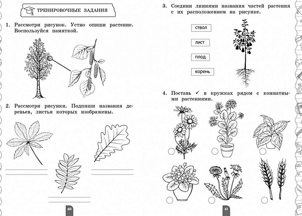 Подпиши картинки 1 класс