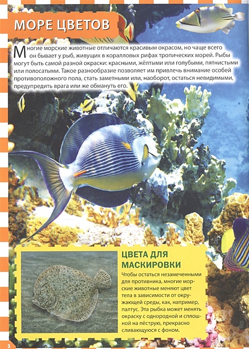 энциклопедия развивающие задания морские обитатели. эй google морские обитатели deagostini игрушки. обитатели отзыв. энциклопедия обитателей океана pdf. обитатели отзыв.