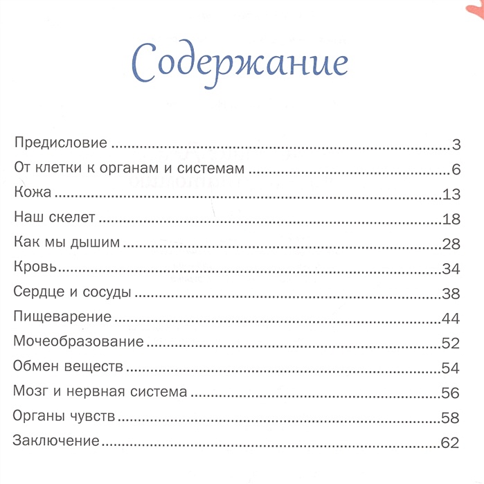 План сказки путешествие алисы 4 класс в сокращении