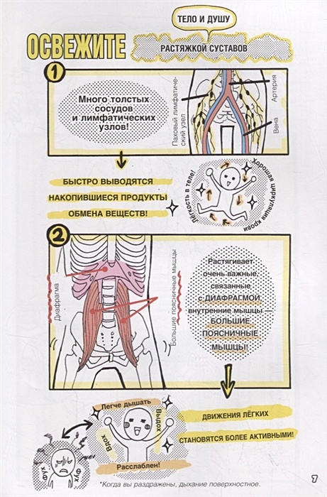 Книга японская растяжка в картинках