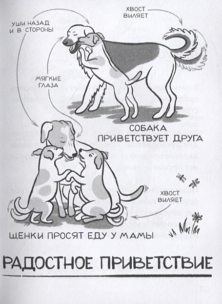 Язык собак книга. Как понять собачий язык. Книги по психологии собак. Собака с учебником русский язык.