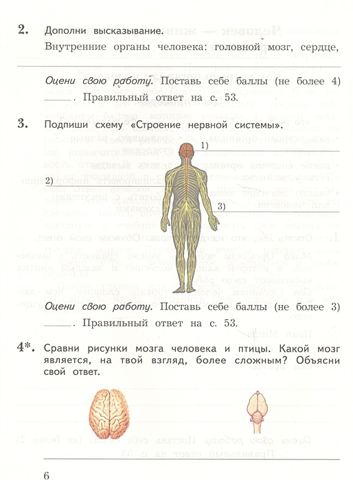 Окружающий мир 3 класс тетрадь организм человека. Тетрадь для проверочных работ по окружающему миру 4 класс Виноградова. Контрольная работа окружающий мир Виноградова. Тетрадь для контрольных работ по окружающему миру 4 класс. Контрольные по окружающему миру 4 класс Виноградова.