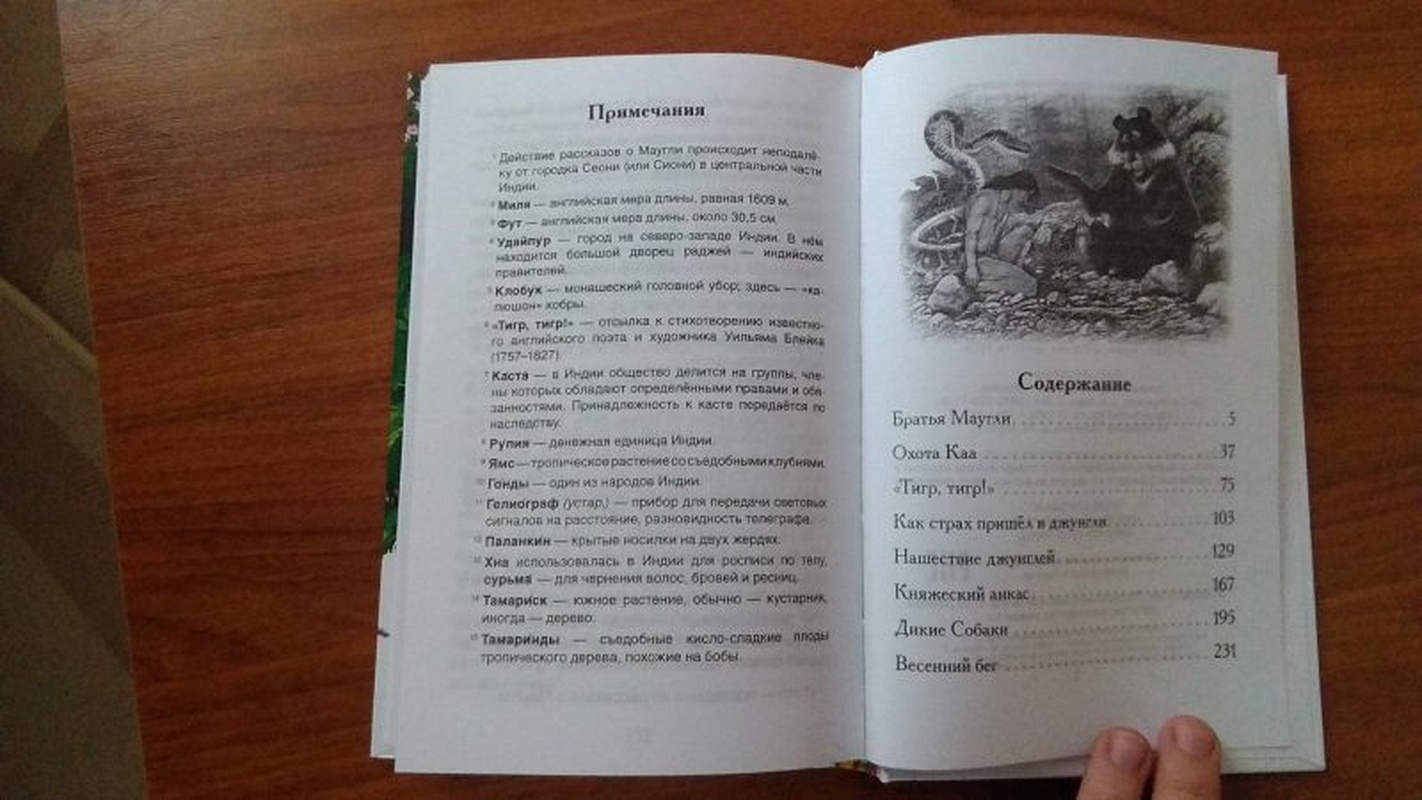киплинг маугли оглавление. киплинг маугли сколько страниц. маугли содержание книги. киплинг маугли книга оглавление. киплинг маугли оглавление.