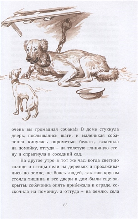 История собаки мальчика. Рассказ про щенка. Рассказ собачонка. Собачка из рассказа. Сборник рассказов про собак советские.