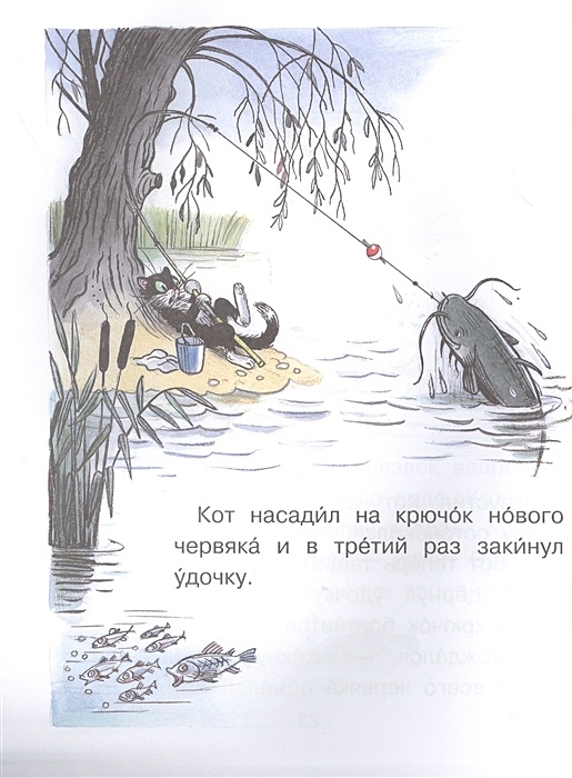 Сутеев кот рыболов