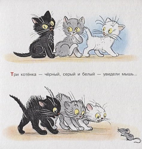 Федин котенок 3 полностью. Стих три котенка. Три котенка Сутеева. Три котёнка чёрный серый и белый. Котенок стих 3.