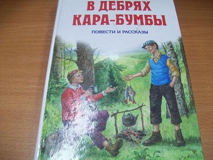 Иванов Дебри Купить Книгу