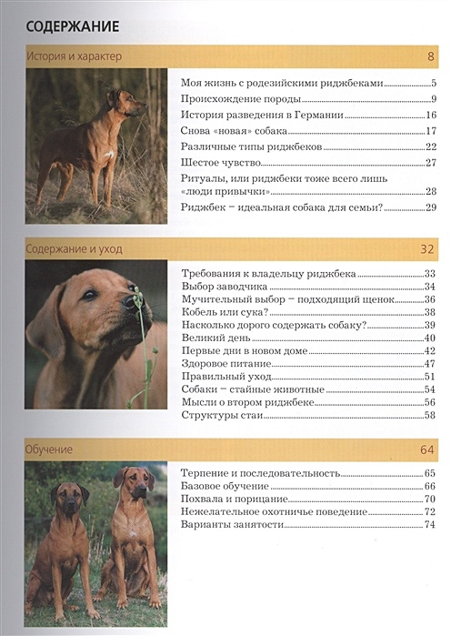 Характеристики родезийского риджбека