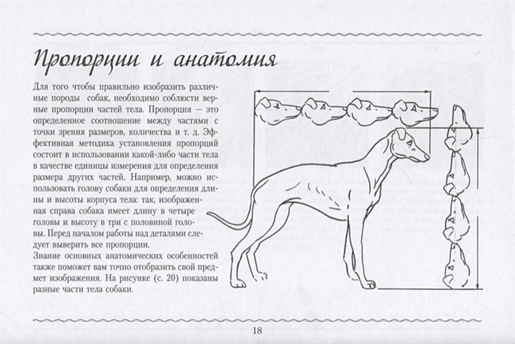 Как рисовать собак книга