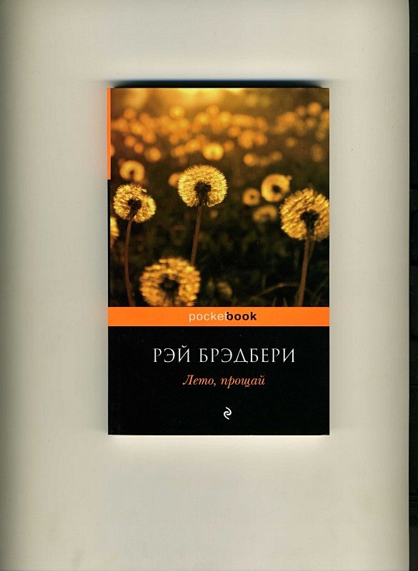 Прощай лето книга отзыв
