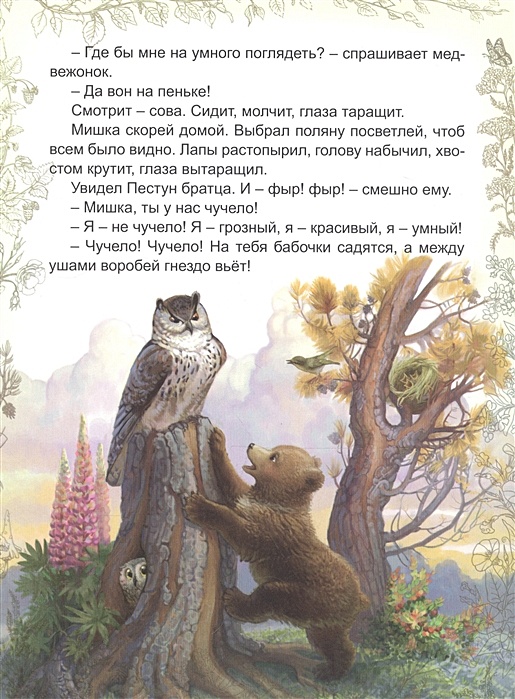 Мишкины сказки читать с картинками